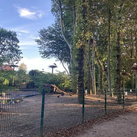 Дом отдыха Foehr Huus Modern Retreat